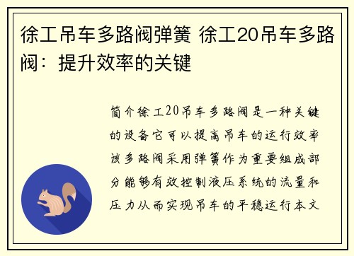 徐工吊车多路阀弹簧 徐工20吊车多路阀：提升效率的关键